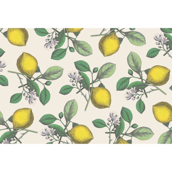 Lemon Placemats